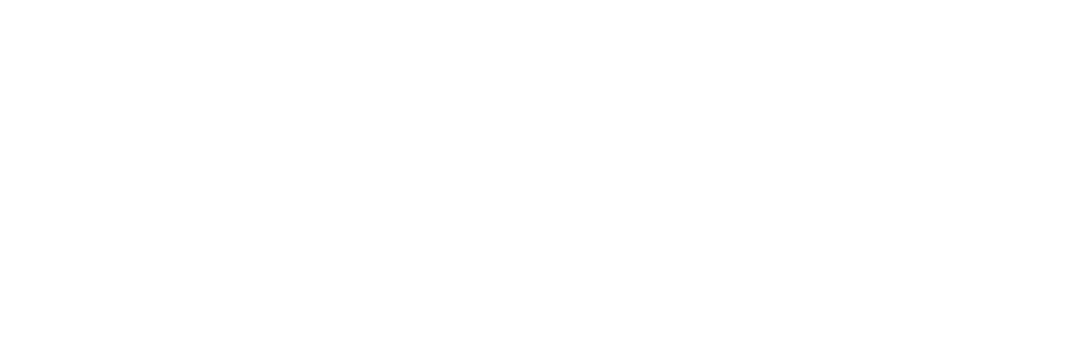 Orion